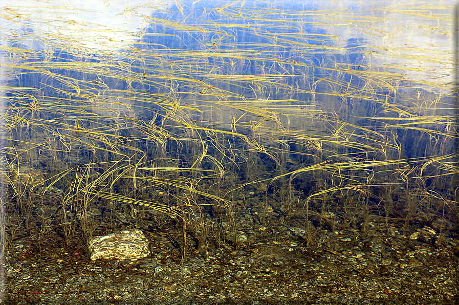 foto Lago dei Lasteati